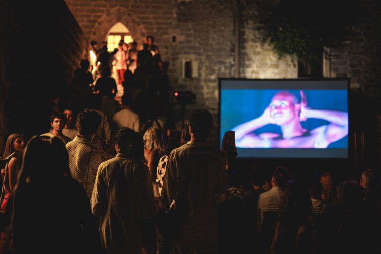 pubblico durante il cinema del reale