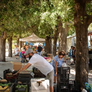 bancarella della frutta durante il mercato settimanale di corigliano