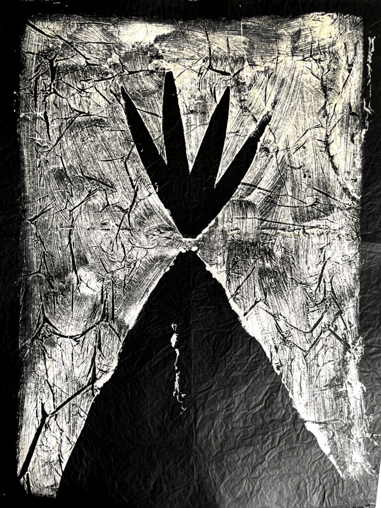 Mostra di Efrem Barrotta
