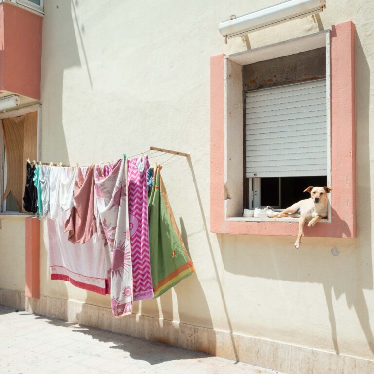 FOTOGRAFIA DI PIERO PERCOCO